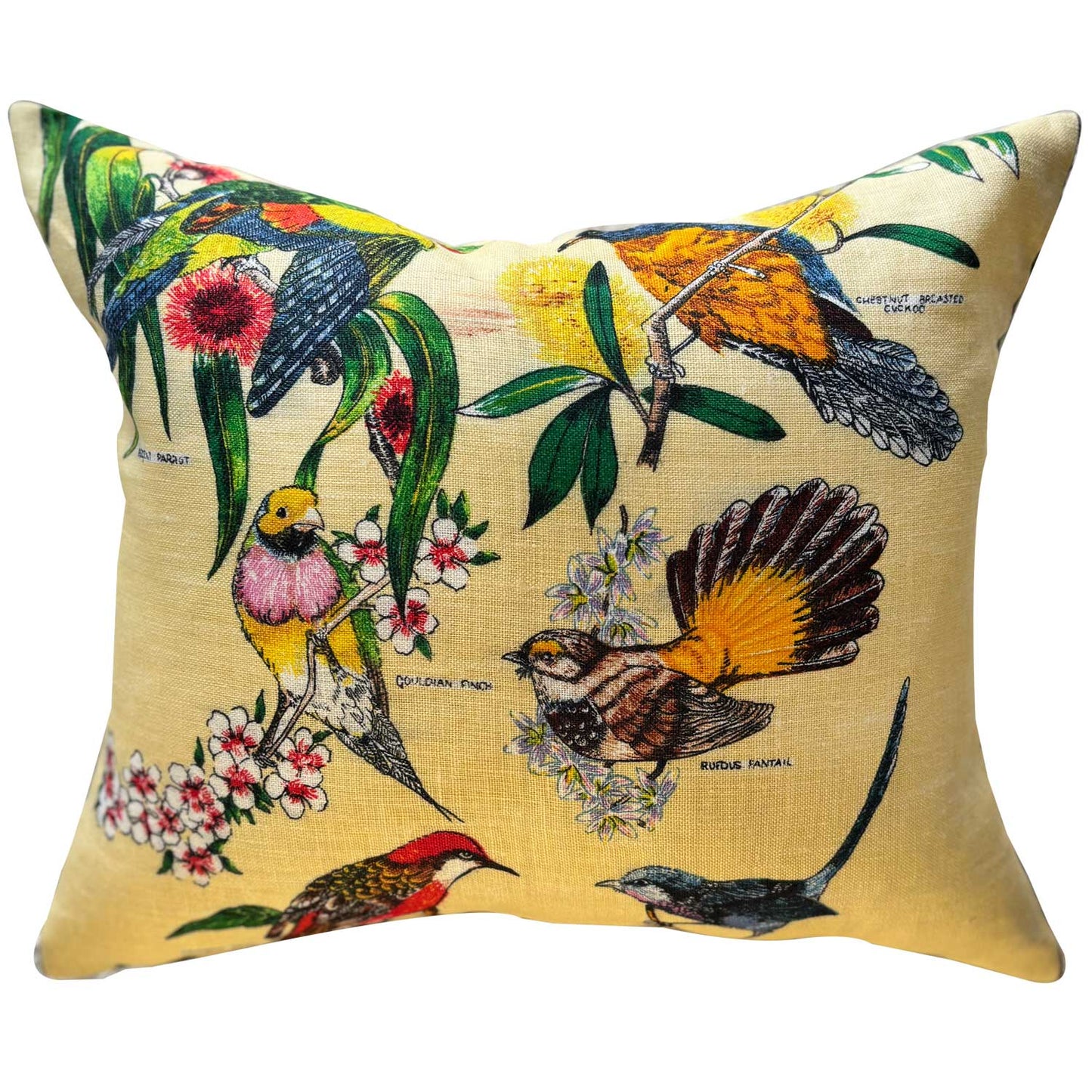 Birds of Australia vintage teatowel cushion cover