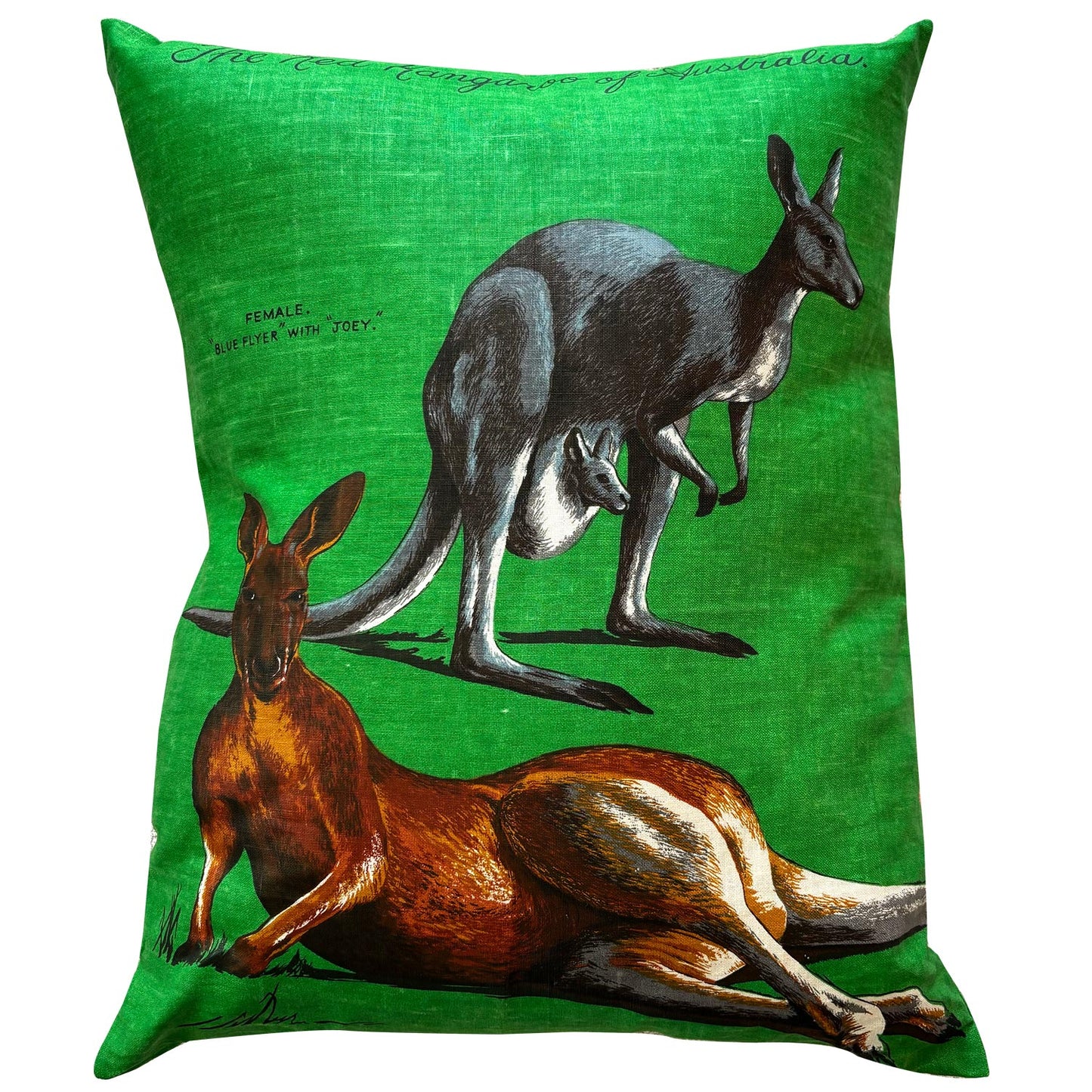 Kangaroos on citrus vintage linen teatowel pillow cover